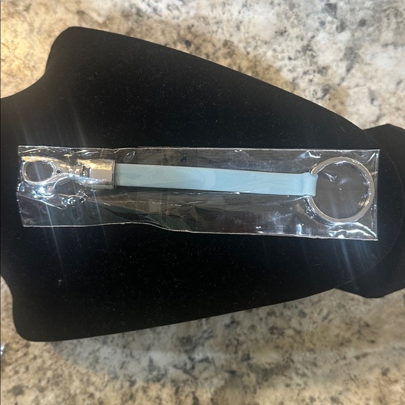 Light Blue Keychain with clip - Picture 1 of 1